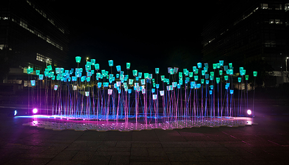 聽風(fēng)的森林